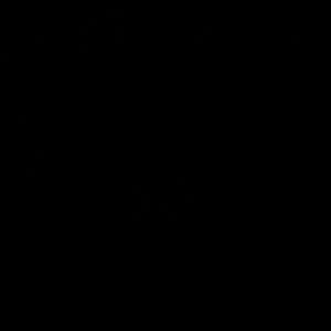 Navy Heavyweight Proclub Zipup hoodie